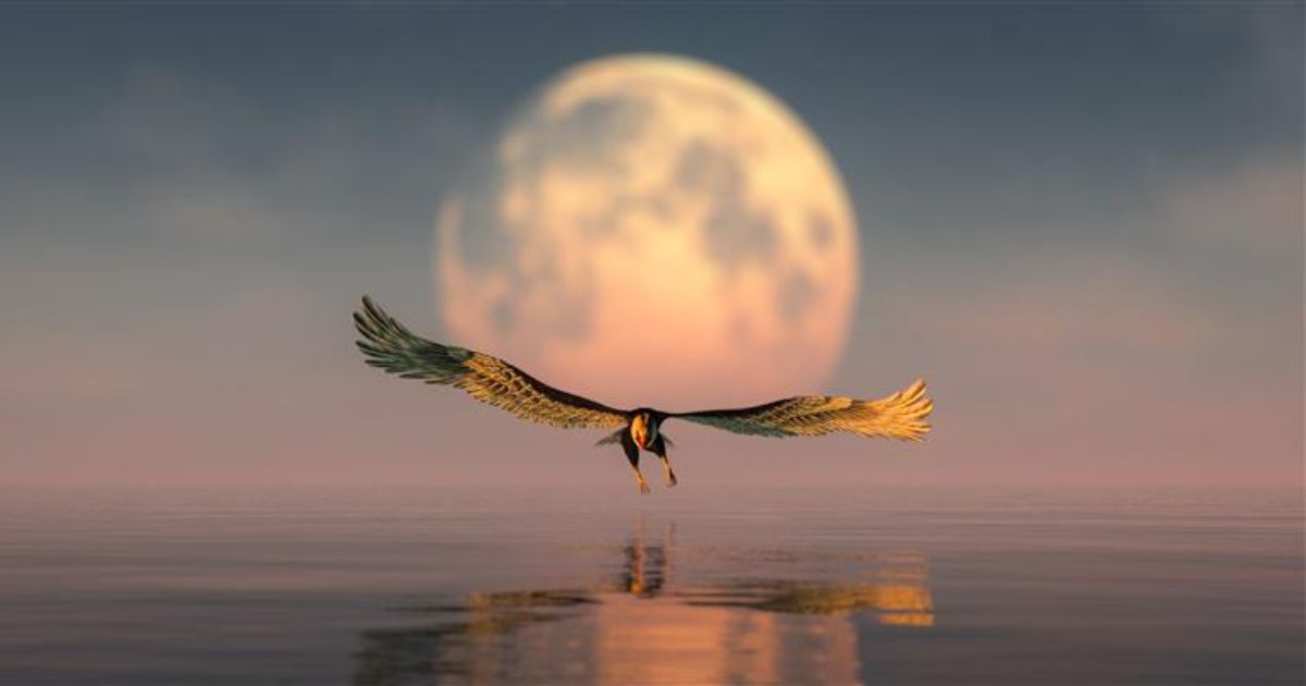 Eagle with spread wings flying over a lake, a full moon high in the sky.